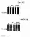 Fig. 09 - Surface protein of 