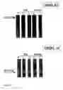 Fig. 10 - Surface protein of 