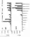 Fig. 02 - Vaccines