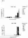 Fig. 09 - Vaccines