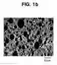 Fig. 03 - Environmental raw material capable of providing impact resistance, method of producing the same, and moldings