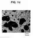 Fig. 04 - Environmental raw material capable of providing impact resistance, method of producing the same, and moldings