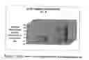 Fig. 03 - Kits for treating dysfunction of cardiac muscle
