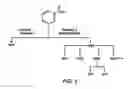 Fig. 03 - Methods for treating hyperlipidemia with intermediate release nicotinic acid compositions having unique biopharmaceutical characteristics