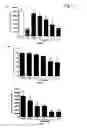 Fig. 02 - Combinations and modes of administration of therapeutic agents and combination therapy