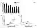 Fig. 06 - Combinations and modes of administration of therapeutic agents and combination therapy