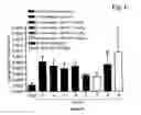 Fig. 07 - Combinations and modes of administration of therapeutic agents and combination therapy