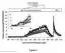 Fig. 12 - Methods and compositions for modulating glutamate dehydrogenase