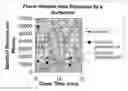Fig. 01 - Enhanced flavor-release comestible compositions and methods for same