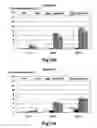 Fig. 09 - Multifunctional reinforcement system for wood composite panels