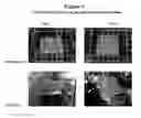 Fig. 02 - Protective films