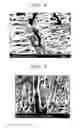 Fig. 04 - Polymer electrolyte membrane and fuel cell using the polymer electrolyte membrane