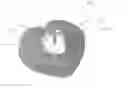 Fig. 01 - Multi-piece candle fuel element