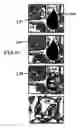 Fig. 08 - Educational system