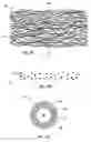 Fig. 06 - Analyte sensing biointerface