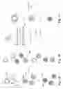 Fig. 02 - Multiplex capture of nucleic acids