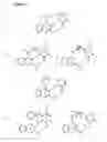 Fig. 03 - Nucleosides or nucleotides having novel unnatural bases and use thereof