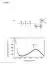 Fig. 05 - Nucleosides or nucleotides having novel unnatural bases and use thereof