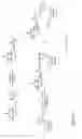 Fig. 17 - Nucleosides or nucleotides having novel unnatural bases and use thereof