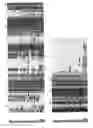 Fig. 07 - Serine protease