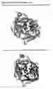 Fig. 08 - Serine protease