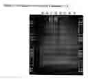 Fig. 02 - Tagged polyfunctional reagents capble of reversibly binding target substances in a ph-dependent manner