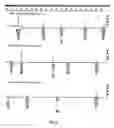 Fig. 06 - Detection of aneuploidy