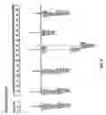 Fig. 07 - Detection of aneuploidy