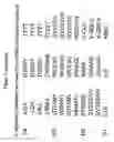 Fig. 05 - Immunoglobulin-like variable chain binding polypeptides and methods of use