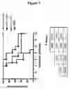 Fig. 08 - Use of CR1-binding molecules in clearance and induction of immune responses
