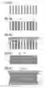 Fig. 06 - Macroporous support for chemical amplification reactions