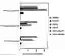 Fig. 01 - Methods of high-throughput screening for internalizing antibodies