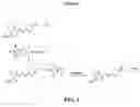 Fig. 02 - Compounds and methods for labeling oligonucleotides
