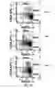 Fig. 03 - Functional multi-drug resistance assay
