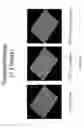 Fig. 03 - Rapid bacterial quantification