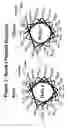 Fig. 02 - Cysteine-containing peptides having antioxidant properties