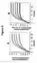 Fig. 09 - Cysteine-containing peptides having antioxidant properties