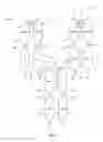 Fig. 02 - Soluble interleukin-20 receptor