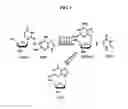 Fig. 02 - Method for preparing 3'-amino-2',3'-dideoxyguanosine