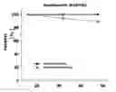 Fig. 01 - Rhodococcus - E. coli shuttle vector