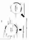Fig. 04 - Rhodococcus - E. coli shuttle vector