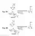 Fig. 03 - Fluorous labeling for selective processing of biologically-derived samples