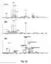 Fig. 22 - Fluorous labeling for selective processing of biologically-derived samples