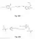 Fig. 35 - Fluorous labeling for selective processing of biologically-derived samples
