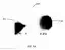 Fig. 08 - Electromagnetic probe device