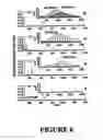 Fig. 08 - Method of mass spectrometric analysis from closely packed microspots by their simultaneous laser irradiation