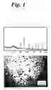 Fig. 02 - Tri-functional nanospheres