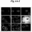 Fig. 07 - Tri-functional nanospheres