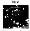 Fig. 14 - Methods of fabricating thin ferroelectric layers and capacitors having ferroelectric dielectric layers therein