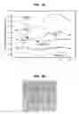 Fig. 24 - Methods of fabricating thin ferroelectric layers and capacitors having ferroelectric dielectric layers therein